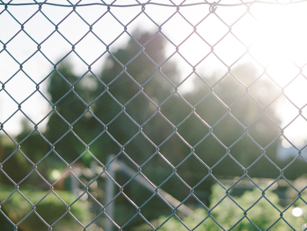 Chain Link fence style inspiration